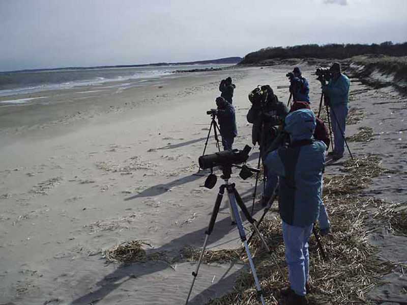 Birding-from-Emerson-Rocks-