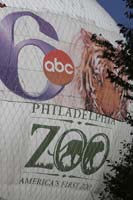 zoo-balloon-BINNS-IMG_4091
