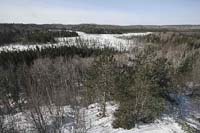 algonquin-BINNS-IMG_5738