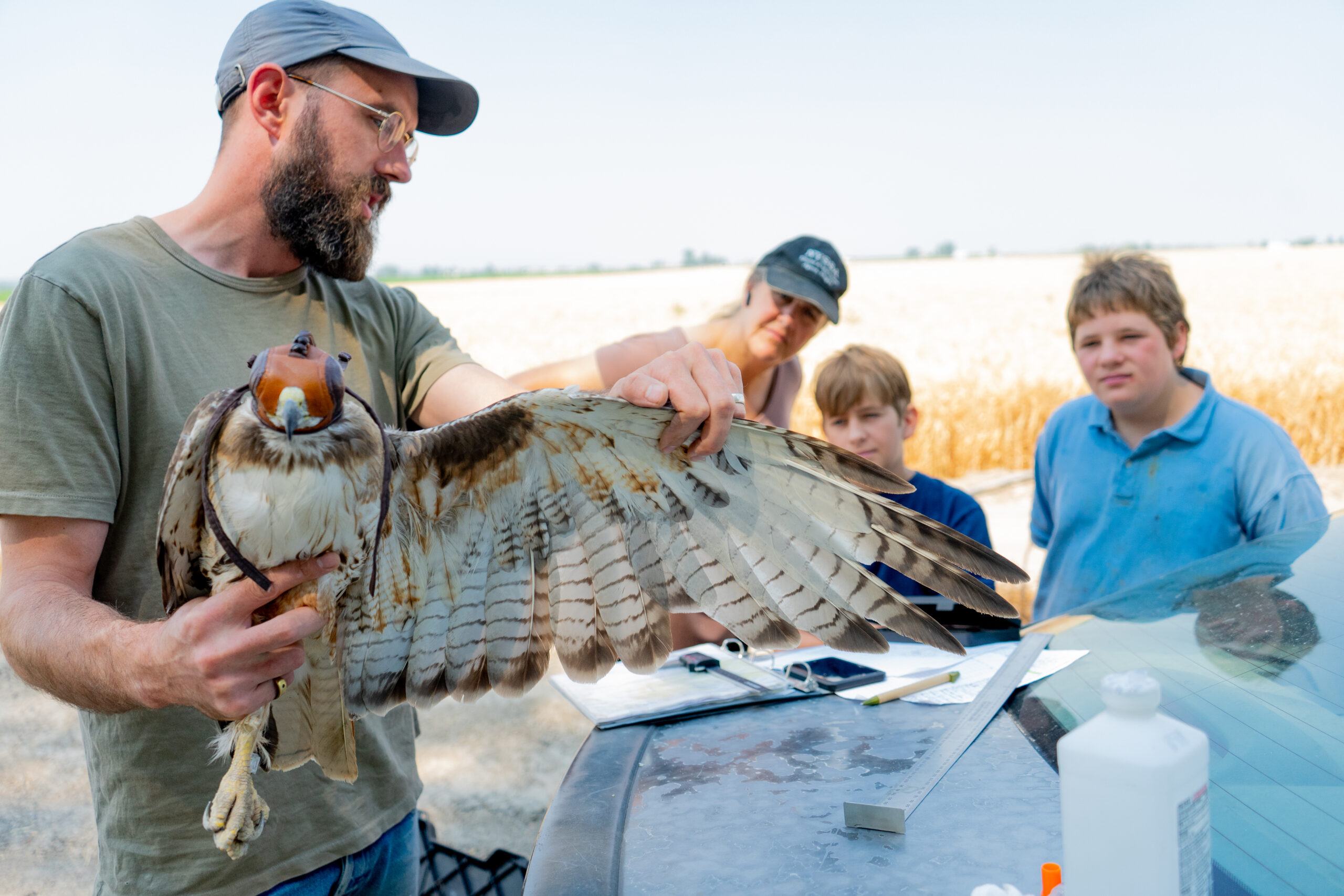 Bryce Robinson - The Red-tailed Hawk Project