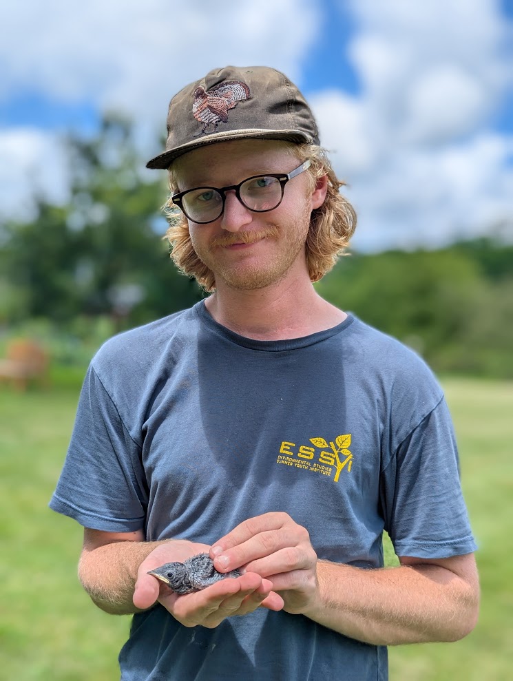 Will Krohn - Bringing Back the Purple Martin